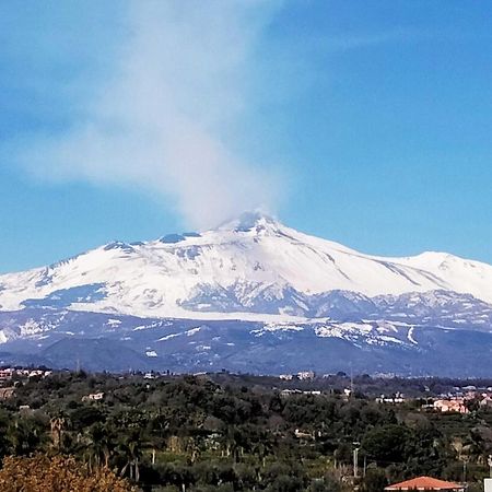 Mansarda Sul Mare Dei Ciclopi Apartment Aci Trezza Bagian luar foto